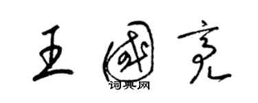 梁錦英王國亮草書個性簽名怎么寫