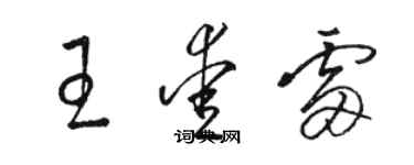 駱恆光王愛雷草書個性簽名怎么寫