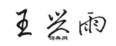 駱恆光王興雨行書個性簽名怎么寫