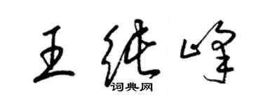 梁錦英王純峰草書個性簽名怎么寫