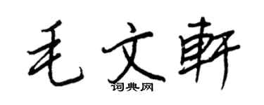 王正良毛文軒行書個性簽名怎么寫