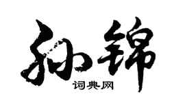 胡問遂孫錦行書個性簽名怎么寫