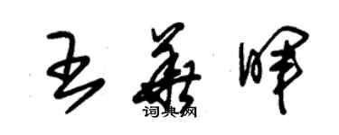 朱錫榮王華暉草書個性簽名怎么寫