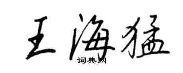 王正良王海猛行書個性簽名怎么寫