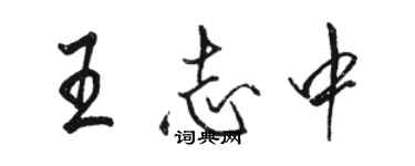 駱恆光王志中行書個性簽名怎么寫