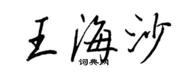 王正良王海沙行書個性簽名怎么寫