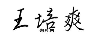 王正良王培爽行書個性簽名怎么寫