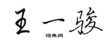 駱恆光王一駿行書個性簽名怎么寫