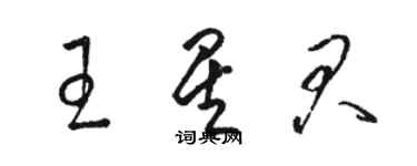 駱恆光王星君草書個性簽名怎么寫