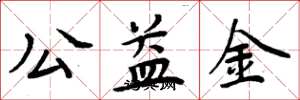 周炳元公益金楷書怎么寫
