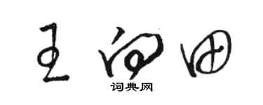 駱恆光王向田草書個性簽名怎么寫