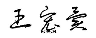 曾慶福王宏異草書個性簽名怎么寫