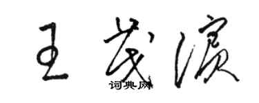 駱恆光王茂濱草書個性簽名怎么寫