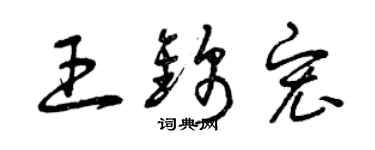 曾慶福王錦宏草書個性簽名怎么寫