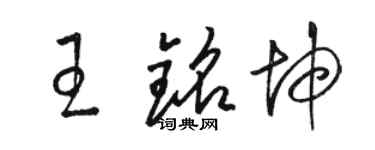 駱恆光王銘坤草書個性簽名怎么寫