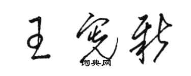 駱恆光王憲新草書個性簽名怎么寫