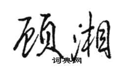駱恆光顧湘行書個性簽名怎么寫