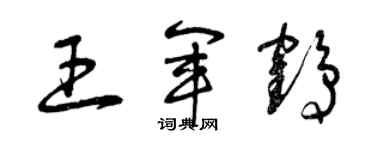 曾慶福王軍鶴草書個性簽名怎么寫