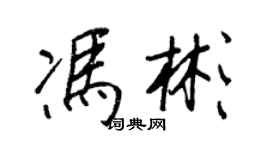 王正良馮彬行書個性簽名怎么寫