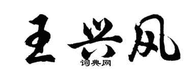 胡問遂王興風行書個性簽名怎么寫