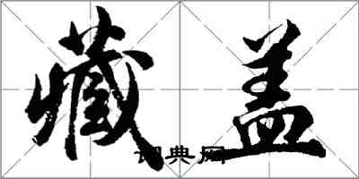 胡問遂藏蓋行書怎么寫