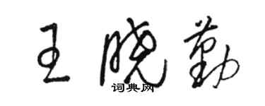 駱恆光王曉勤草書個性簽名怎么寫