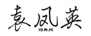 駱恆光袁鳳英行書個性簽名怎么寫