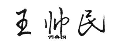 駱恆光王帥民行書個性簽名怎么寫