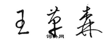 駱恆光王革森草書個性簽名怎么寫