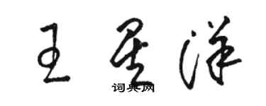 駱恆光王星洋草書個性簽名怎么寫