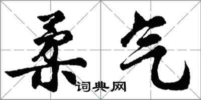 胡問遂柔氣行書怎么寫