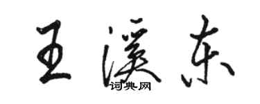 駱恆光王溪東行書個性簽名怎么寫