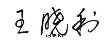 駱恆光王曉利草書個性簽名怎么寫