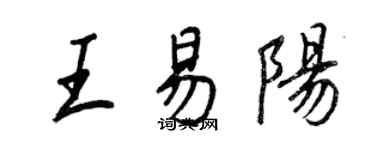 王正良王易陽行書個性簽名怎么寫