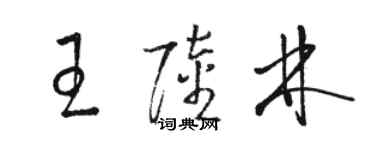 駱恆光王陸林草書個性簽名怎么寫