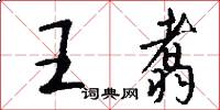 王翥怎么寫好看