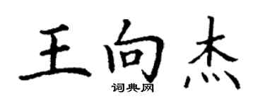 丁謙王向傑楷書個性簽名怎么寫