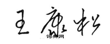 駱恆光王康松草書個性簽名怎么寫