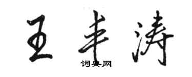 駱恆光王豐濤行書個性簽名怎么寫