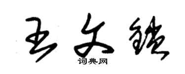 朱錫榮王文鎖草書個性簽名怎么寫