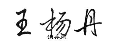 駱恆光王楊丹行書個性簽名怎么寫