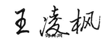駱恆光王凌楓行書個性簽名怎么寫