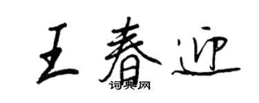 王正良王春迎行書個性簽名怎么寫