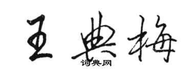 駱恆光王典梅行書個性簽名怎么寫