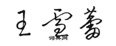 駱恆光王雪蕾草書個性簽名怎么寫