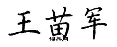 丁謙王苗軍楷書個性簽名怎么寫