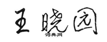 駱恆光王曉園行書個性簽名怎么寫