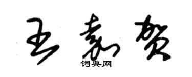 朱錫榮王嘉賀草書個性簽名怎么寫