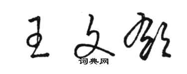 駱恆光王文郁草書個性簽名怎么寫