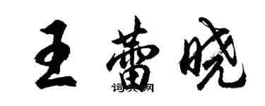 胡問遂王蕾曉行書個性簽名怎么寫